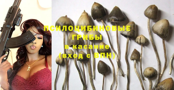 крисы Волосово